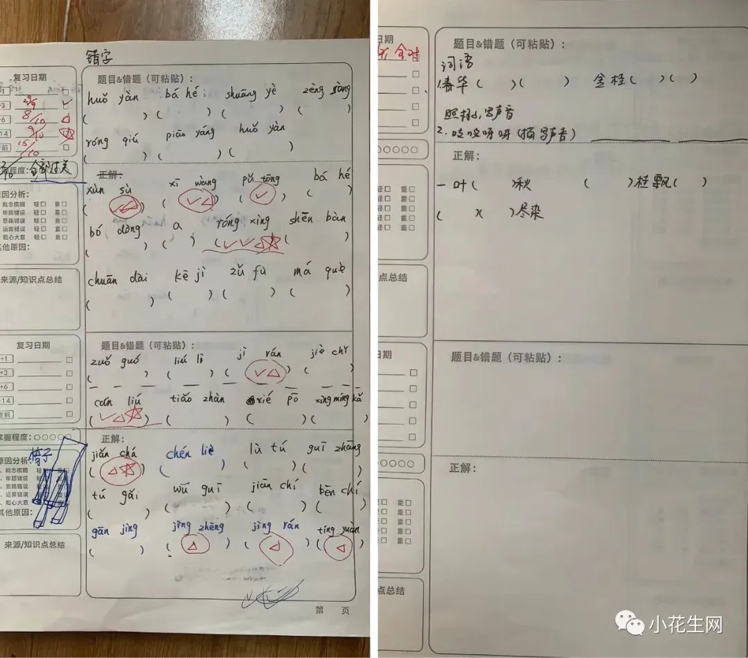 为什么篮球传奇的训练和发展理念值得借鉴_1