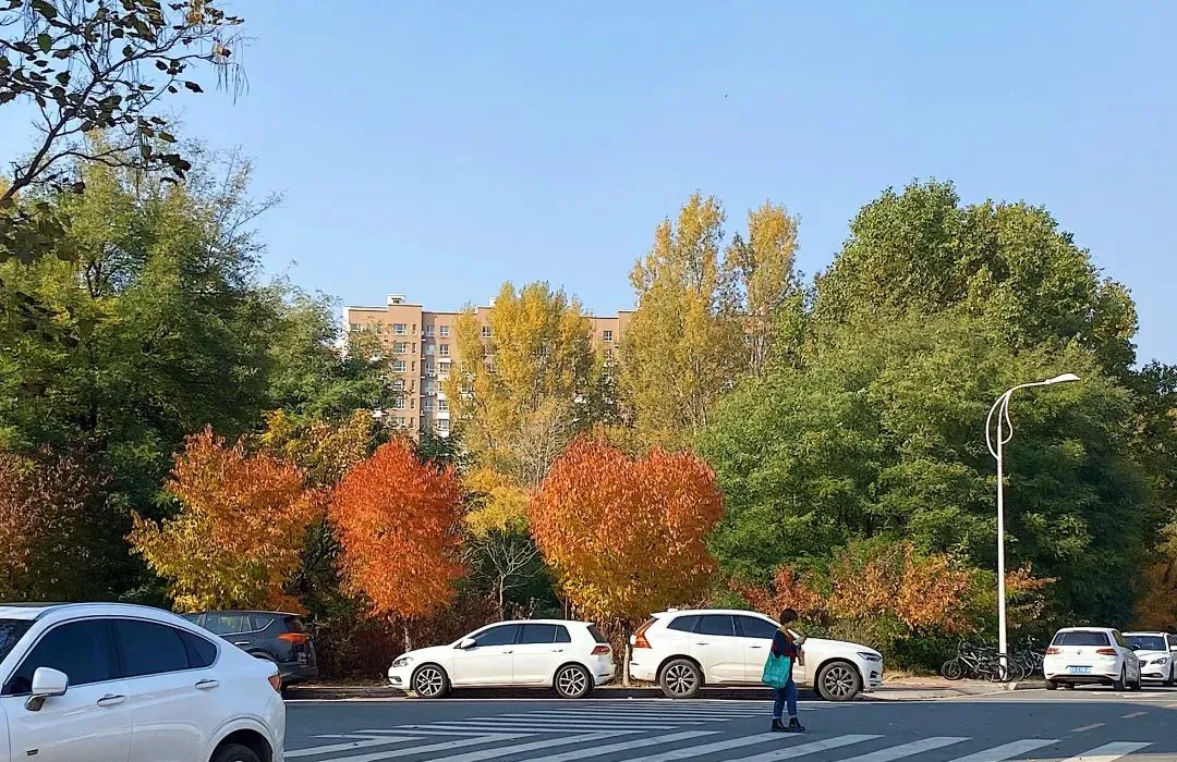 如何设计一套有效的篮球协调训练计划_1